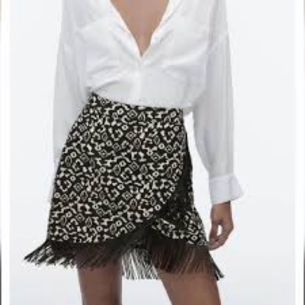 NWT Limited Edition Zara Skirt